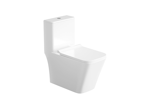 One-Piece Toilet